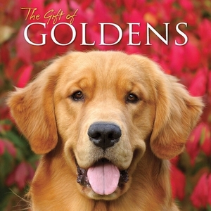 The Gift of Goldens by Willow Creek Press