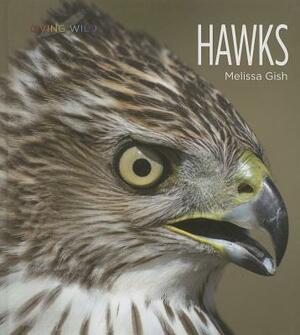 Hawks by Melissa Gish