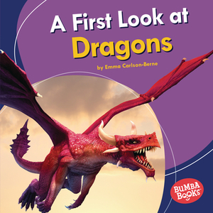 A First Look at Dragons by Emma Carlson Berne