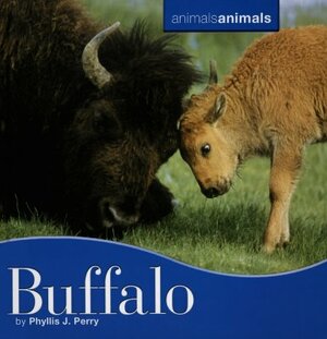 Buffalo by Phyllis J. Perry