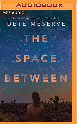 The Space Between by Dete Meserve