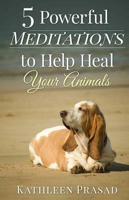 5 Powerful Meditations to Help Heal Your Animals by Kathleen Prasad