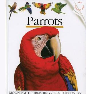 Parrots by Henri Galeron