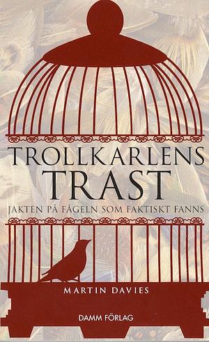 Trollkarlens trast: jakten på fågeln som faktiskt fanns by Martin Davies