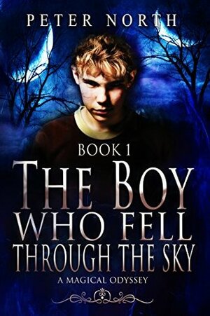 The Boy Who Fell Through The Sky: Young Adult Fantasy Series Book 1 by Peter North