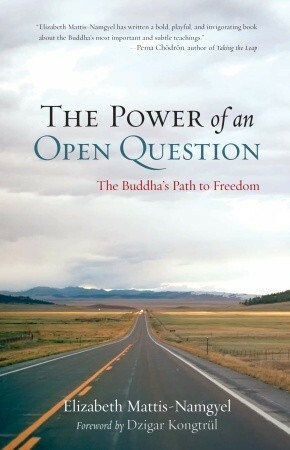 The Power of an Open Question: A Buddhist Approach to Abiding in Uncertainty by Dzigar Kongtrül III, Elizabeth Mattis-Namgyel