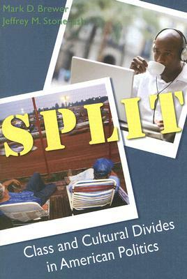 Split: Class and Cultural Divides in American Politics by Jeffrey M. Stonecash, Mark Brewer