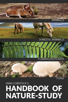 The Handbook Of Nature Study in Color - Mammals and Flowerless Plants by Anna Comstock