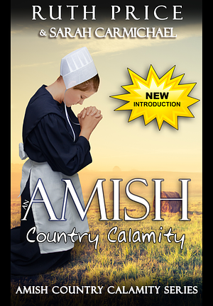 An Amish Country Calamity 2 by Ruth Price