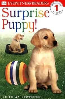 DK Readers: Surprise Puppy by Judith Walker-Hodge, Judith Hodge, Judith Hodge