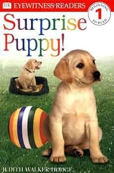 DK Readers: Surprise Puppy by Judith Hodge, Judith Hodge, Judith Walker-Hodge