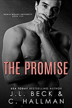 The Promise by J.L. Beck, C. Hallman