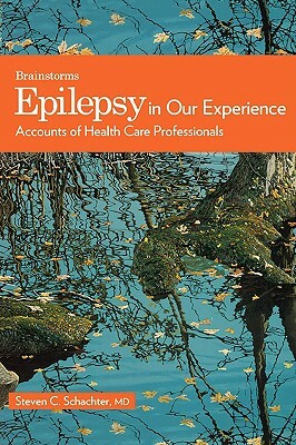Epilepsy in Our Experience: Accounts of Health Care Professionals by 