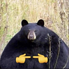 honorbound13's profile picture