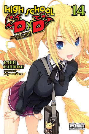 High School DXD, Vol. 14 (Light Novel): Volume 14 by Ichiei Ishibumi