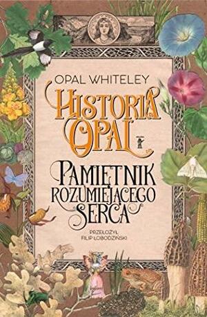 Historia Opal. Pamiętnik rozumiejącego serca by Sylwia Chutnik, Opal Whiteley