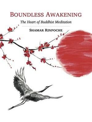 Boundless Awakening: The Heart of Buddhist Meditation by Shamar Rinpoche