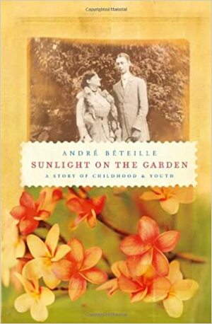 Sunlight On the Garden: A Story of Childhood and Youth by André Béteille