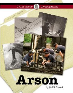 Arson by Gail B. Stewart