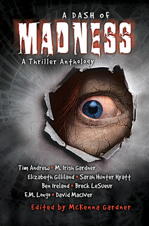 A Dash of Madness by M. Irish Gardner, David MacIver, Tim Andrew, Sarah Hunter Hyatt, Ben Ireland, Elizabeth Gilliland, F.M. Longo, Breck LeSueur, McKenna Gardner