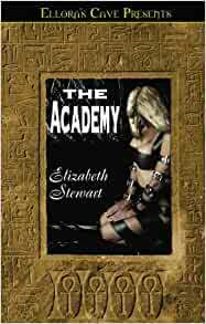 The Academy by Elizabeth Stewart