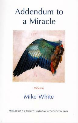 Addendum to a Miracle by Mike White