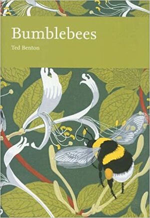 Bumblebees by Ted Benton