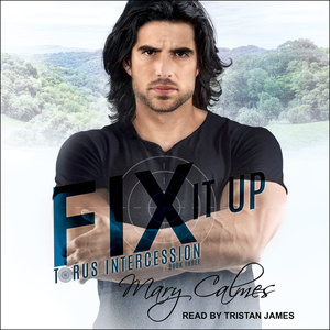Fix it up  by Mary Calmes