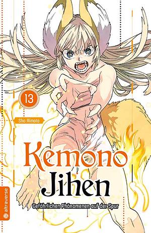 Kemono Jihen - Gefährlichen Phänomenen auf der Spur, Band 13 by Sho Aimoto, 藍本 松