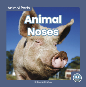 Animal Noses by Connor Stratton