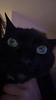 lanxn's profile picture