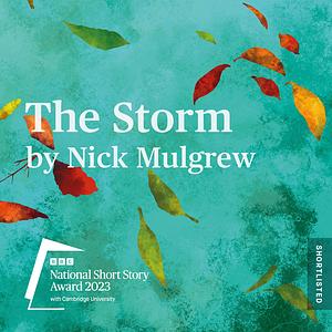 The Storm by Nick Mulgrew