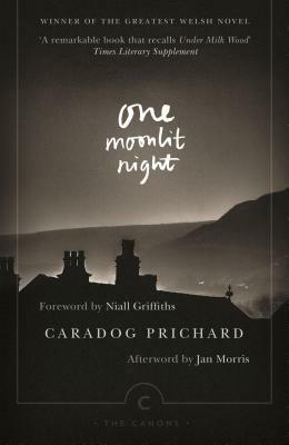 One Moonlit Night by Caradog Prichard