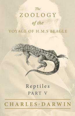 Reptiles - Part V - The Zoology of the Voyage of H.M.S Beagle by Thomas Bell, Charles Darwin
