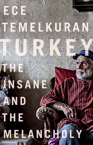 Turkey: The Insane and the Melancholy by Zeynep Beler, Ece Temelkuran