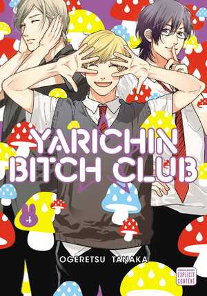Yarichin Bitch Club, Vol. 4 by Ogeretsu Tanaka
