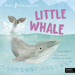 Little Whale: A Day in the Life of a Whale Calf by Anna Brett