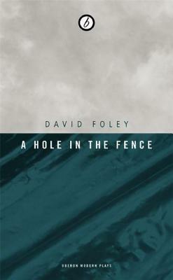 A Hole in the Fence by David Foley