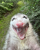 kermitisthere's profile picture