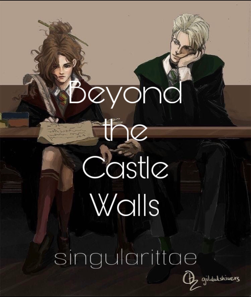 Beyond the castle walls by singularittae | The StoryGraph