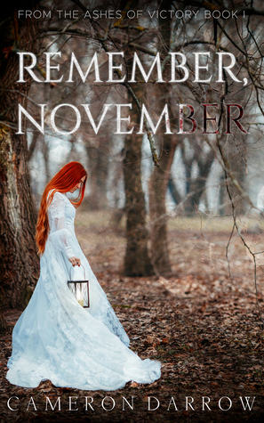 Remember, November by Cameron Darrow