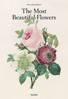 Pierre-Joseph Redout: Choix Des Plus Belles Fleurs by H. Walter Lack, Werner Dressendorfer