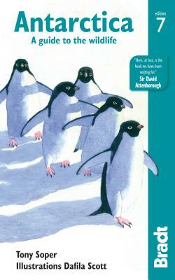 Antarctica: A Guide to the Wildlife by Tony Soper