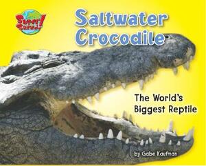 Saltwater Crocodile: The World's Biggest Reptile by Gabriel Kaufman