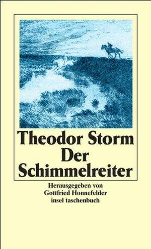 Der Schimmelreiter by Theodor Storm