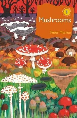Mushrooms (The British Wildlife Collection No. 1) by Peter Marren