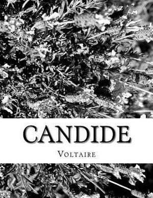 Candide by Voltaire