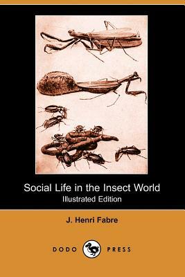 Social Life in the Insect World (Illustrated Edition) (Dodo Press) by Jean-Henri Fabre, J. Henri Fabre