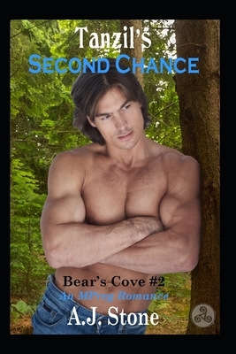 Tanzil's Second Chance: An MM/MPreg Romance by A. J. Stone