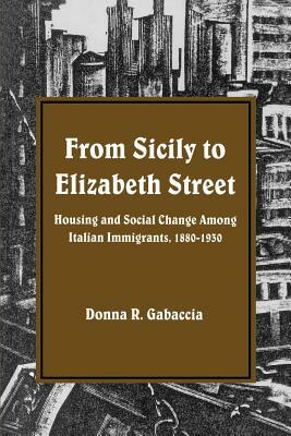 From Sicily to Elizabeth Street: Housing and Social Change Among Italian Immigrants, 1880-1930 by Donna R. Gabaccia